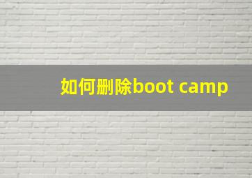 如何删除boot camp